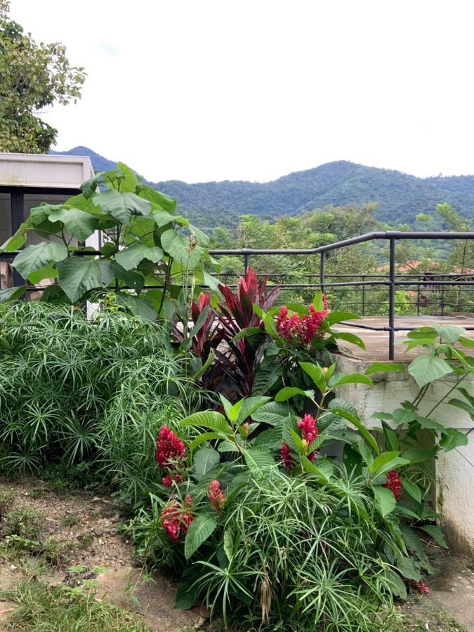 Minca Seasons Birds Hostel Exterior photo